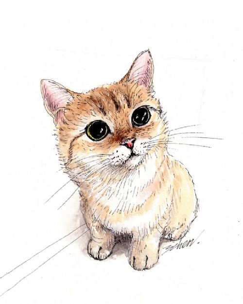 動物擬人化插畫技法