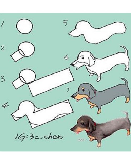 動物擬人化插畫技法