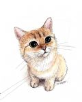 動物擬人化插畫技法